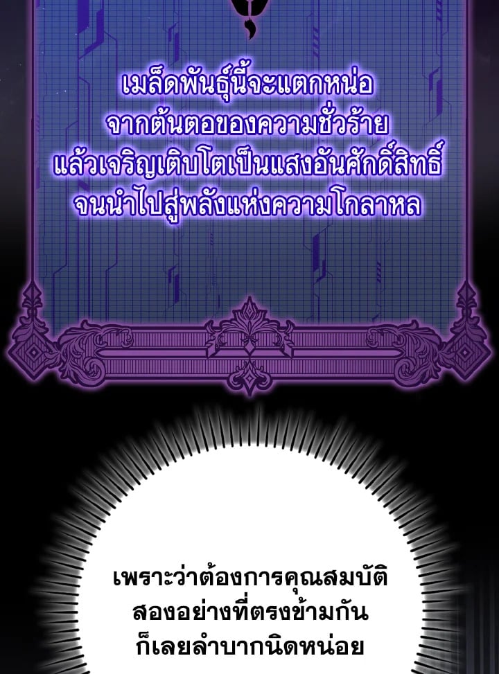 Max Level Player ตอนที่ 102 แปลไทย