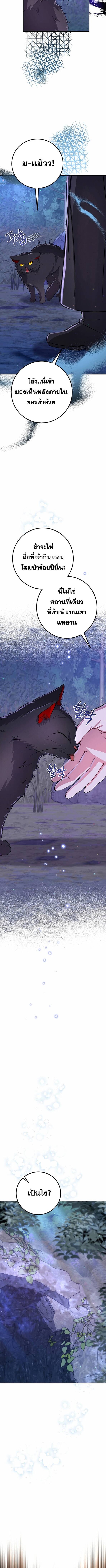 Reicarnated of a Martial Prodigy ตอนที่ 6 แปลไทย