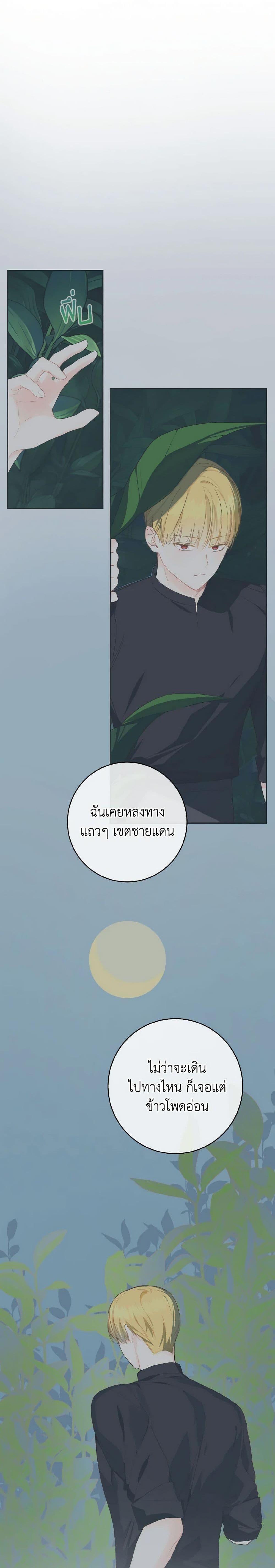 My Farm by the Palace ฟาร์มมาโรเนียข้างพระราชวัง ตอนที่ 50 แปลไทย