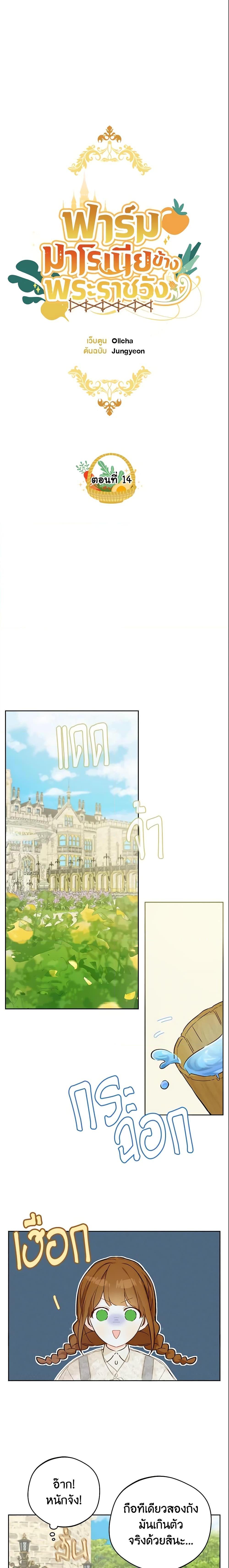 My Farm by the Palace ฟาร์มมาโรเนียข้างพระราชวัง ตอนที่ 14 แปลไทย