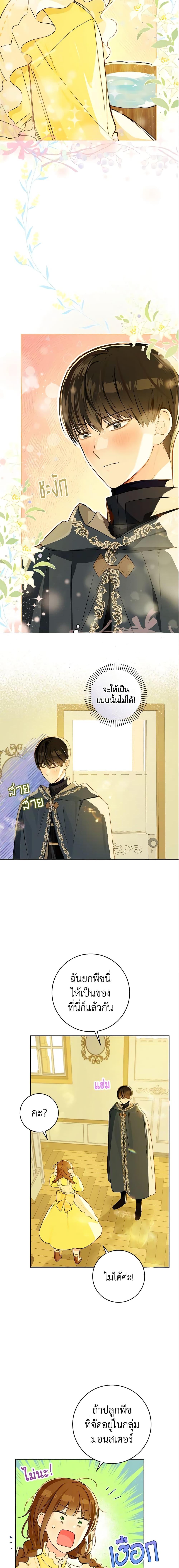 My Farm by the Palace ฟาร์มมาโรเนียข้างพระราชวัง ตอนที่ 28 แปลไทย