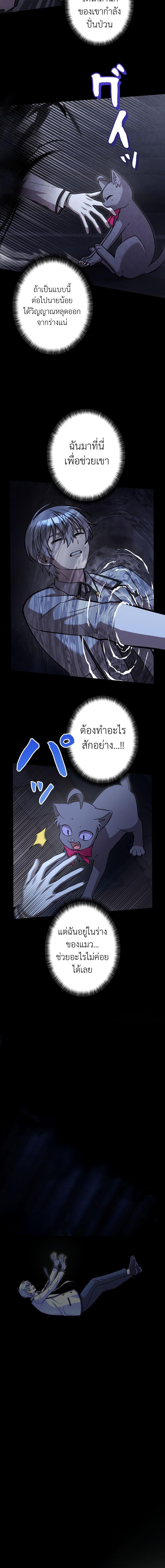 I’m a Hero, but the Heroines Are Trying to Kill Me ฉันเป็นผู้กล้า แต่ไหงเหล่านางเอกถึงอยากฆ่าฉันได้ ตอนที่ 15 แปลไทย